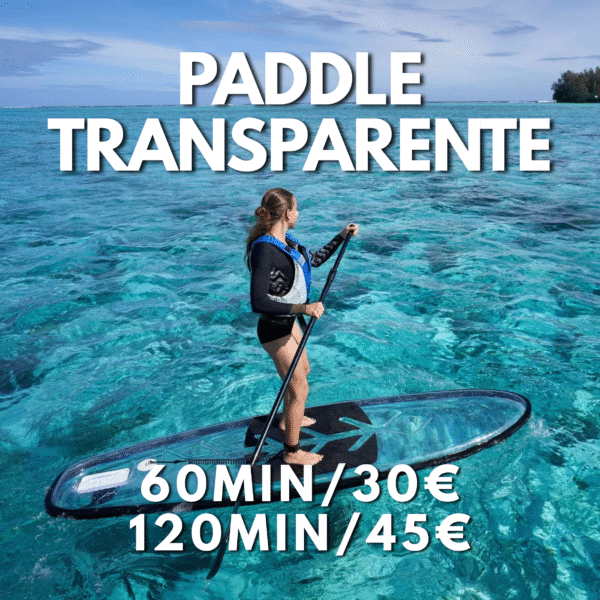 Paddle Surf Transparente/30 MINUTOS